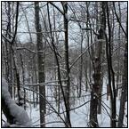 AUCTION ITEM:de0404M004t.jpg