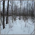 AUCTION ITEM:de0404M006t.jpg