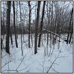 AUCTION ITEM:de0404M007t.jpg