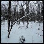 AUCTION ITEM:de0404M008t.jpg