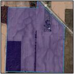 AUCTION ITEM:dj0205M003t.jpg