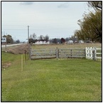 AUCTION ITEM:dj0205N002t.jpg