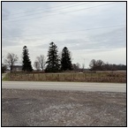 AUCTION ITEM:dj0205P001t.jpg