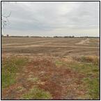 AUCTION ITEM:dj0205P005t.jpg