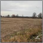 AUCTION ITEM:dj0205P006t.jpg