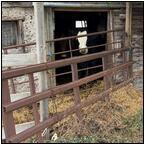 AUCTION ITEM:dj0205P008t.jpg