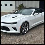 AUCTION ITEM:dj0515M005t.jpg