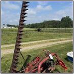 AUCTION ITEM:dj0806M009t.jpg