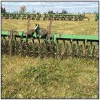 AUCTION ITEM:dj1120M010t.jpg