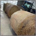 AUCTION ITEM:dj1124M002t.jpg