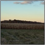 AUCTION ITEM:dj1211M010t.jpg