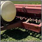 AUCTION ITEM:dk0731M010t.jpg