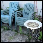 AUCTION ITEM:dp0604M051t.jpg