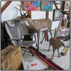 AUCTION ITEM:dp0625M041t.jpg