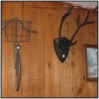 AUCTION ITEM:dp1113M001t.jpg