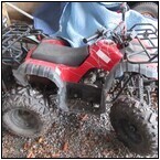 AUCTION ITEM:dp1203M041t.jpg