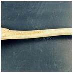 AUCTION ITEM:ez0918M024t.jpg