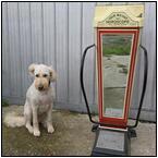 AUCTION ITEM:ez1106M005t.jpg