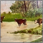 AUCTION ITEM:ez1120M028t.jpg