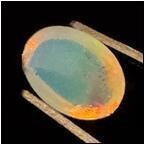 AUCTION ITEM:ez1211M016t.jpg