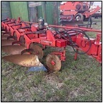 AUCTION ITEM:fl0429M009t.jpg