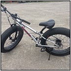 AUCTION ITEM:fl0513M014t.jpg
