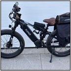 AUCTION ITEM:fl0617M005t.jpg