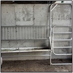 AUCTION ITEM:fl0916M013t.jpg