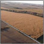 AUCTION ITEM:fl1112M001t.jpg