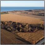 AUCTION ITEM:fl1112M002t.jpg