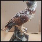 AUCTION ITEM:ga0430M001t.jpg