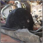 AUCTION ITEM:ga0430M005t.jpg