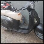 AUCTION ITEM:ga0528M005t.jpg