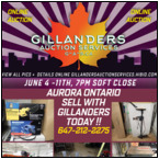 AUCTION ITEM:ga0611M001t.jpg