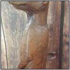 AUCTION ITEM:ga0625M005t.jpg