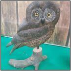 AUCTION ITEM:ga0904M006t.jpg