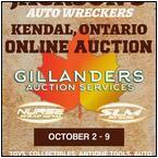 AUCTION ITEM:ga1009M001t.jpg