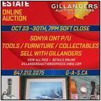 AUCTION ITEM:ga1030M001t.jpg