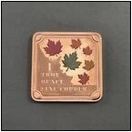 AUCTION ITEM:gc0330N095t.jpg