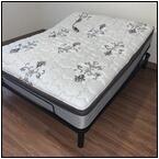 AUCTION ITEM:gc0330N100t.jpg