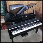 AUCTION ITEM:gc0811M065t.jpg