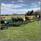 AUCTION ITEM:gc0817O013t.jpg