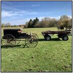 AUCTION ITEM:gc0817O016t.jpg