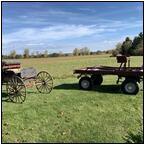 AUCTION ITEM:gc0817O020t.jpg