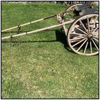 AUCTION ITEM:gc0817O039t.jpg