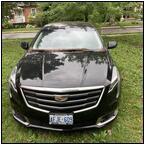 AUCTION ITEM:gc0824O005t.jpg