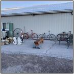 AUCTION ITEM:gc0824O094t.jpg