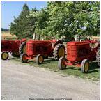 AUCTION ITEM:gc0921M003t.jpg