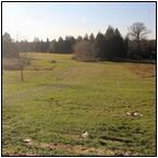 AUCTION ITEM:gg0127M010t.jpg