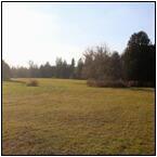 AUCTION ITEM:gg0127M011t.jpg